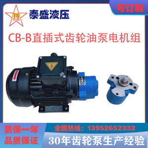 CB-B6/CB-B10/CB-B4JZ锯床齿轮油泵电机组CBW-2.5循环润滑内插直R