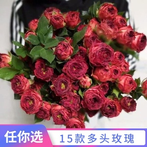 蔷薇花花瓶 蔷薇花花瓶品牌 价格 阿里巴巴 蔷薇花花瓶 蔷薇花花瓶品牌 价格 阿里巴巴