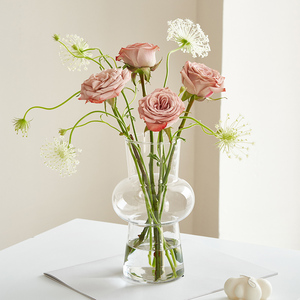花瓶摆件灯笼简约客厅插花透明玻璃网红鲜花玫瑰郁金香水养高级感