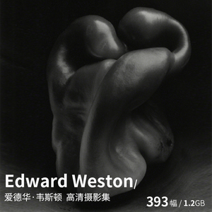 Edward Weston 爱德华 韦斯顿 黑白静物人体摄影大师高清图片资料