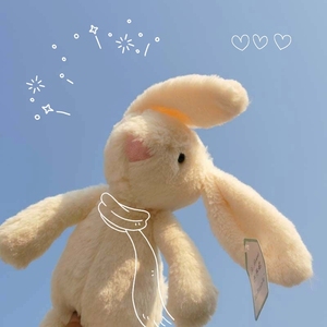 ins少女心兔子公仔玩偶儿童安抚娃娃萌垂耳兔 毛绒玩具女生日礼物