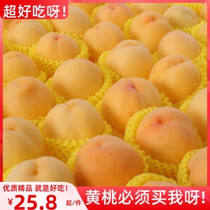 现摘现发砀山黄桃10斤应当季时令孕妇新鲜水果甜软脆毛大桃子整箱