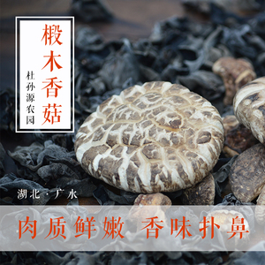 湖北随州广水农家自产 椴木干香菇冬菇家用土特产花菇250g