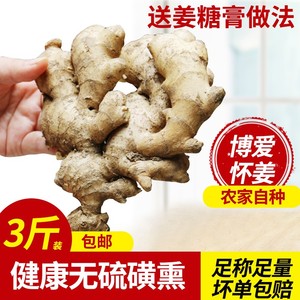 焦作博爱新鲜怀姜淮姜姜糖膏原料生姜 老姜非小黄姜月子姜3斤包邮