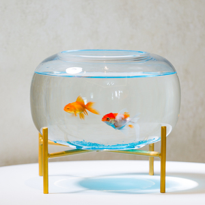 玻璃鱼缸客厅小型桌面创意金鱼缸水培花瓶家用圆形造景装饰乌龟缸