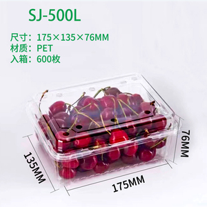 PET1次性透明塑料盒子有孔的水果切打包装樱桃草莓龙眼车厘子内袋