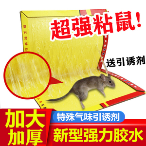家鑫粘鼠板超强力粘鼠板老鼠贴灭鼠抓老鼠夹药捕鼠器黏老鼠胶沾鼠