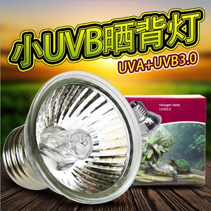 保温箱加热灯鹦鹉鸟乌龟晒背灯龟缸全光谱UVA+UVB3.0太阳灯补钙灯