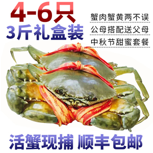 三门青蟹鲜活特大螃蟹肉蟹红膏蟹3斤大青蟹礼盒红鲟海鲜水产海蟹