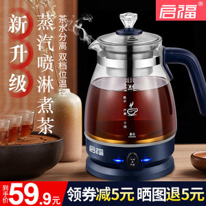 蒸汽喷淋式安化黑茶专用黑茶壶白茶小型茯茶迷你电热茶壶烧煮茶器