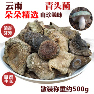 青头菌干货青头菇类大全云南土特产蘑菇干菌子绿豆菌美味山菌梨菇