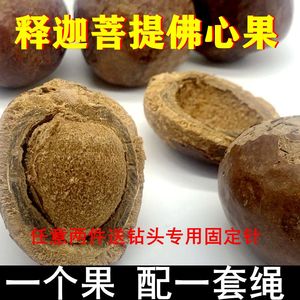 佛心果原籽金包玉老油料释迦菩提超大老红千眼菩提象牙白彩果吊坠