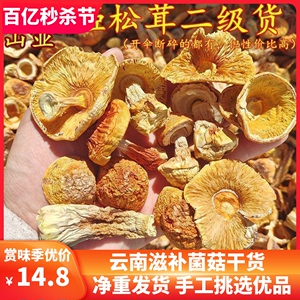 姬松茸干货 云南特产食用野生菌菇蘑菇松茸味道鲜美底价促销实拍