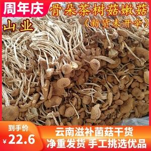 新鲜农家茶树菇干货不开伞骨朵茶薪菇250g非特级香菇蘑42.6元500g
