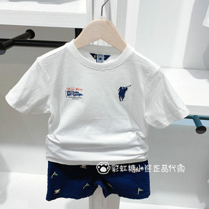 Polo walk KIDS 童装正品24夏款男童纯棉运动短袖T恤B44W422F0051