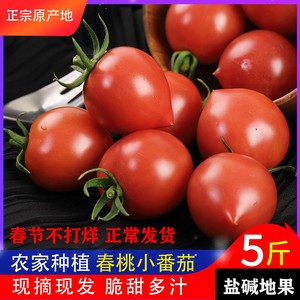 春桃柿子新鲜圣女果樱桃小番茄西红柿儿童孕妇水果3-5斤现摘顺丰
