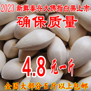 2023新鲜泰兴特级大佛指生白果银杏果（保质量●送食谱 ）5斤包邮