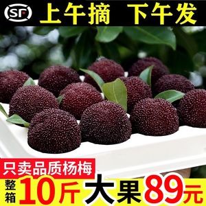 【特甜】正宗仙居东魁杨梅新鲜当季孕妇水果现摘现发6斤
