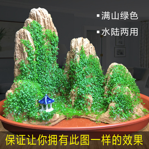 吸水假山摆件石上水盆景石鱼缸装饰造景套餐室内植物招财小奇石头