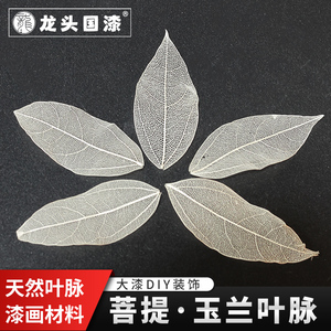 菩提叶脉玉兰叶脉漆画材料漆器工具大漆装饰天然叶脉树叶手工艺品