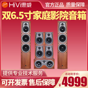 Hivi/惠威 D500 家庭影院音响套装 5.1家用hifi 木质客厅电视音箱