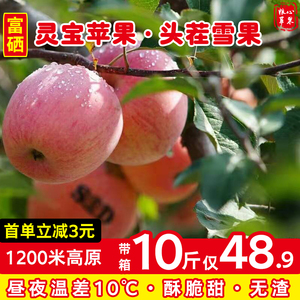 灵宝苹果水果红富士寺河山SOD苹果食用新鲜无SOD标志】河南三门峡