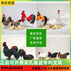 仿真公鸡模型孵蛋母鸡摆件羽毛家禽动物标本招财工艺品超市装饰品