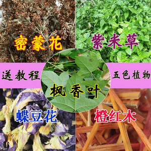 广西五色糯米饭植物染料五颜六色红蓝草枫香叶密蒙花彩色饭团寿司