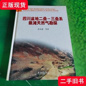 四川盆地二叠-三叠系礁滩天然气勘探 杜金虎 著 2010-05 出版
