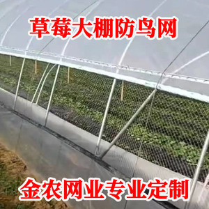 防鸟网果园尼龙网草莓园大棚通风口两侧葡萄种植天沟网种菜防护网