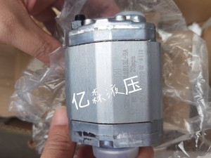 SDH大众液压齿轮泵CBD-F202.1L1BL-BA液压油泵CBDa-F10.38L1B-BA