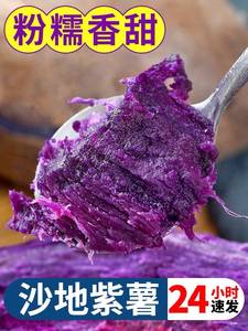 新鲜沙地紫薯大果宝宝食用农产品软糯紫心地瓜农家现挖红薯板栗香