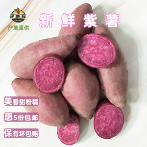 新鲜紫薯红蜜番薯板栗粉糯地瓜农家沙地蜜薯迷你小薯仔烘焙饼馅料
