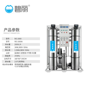 碧丽商用大型水处理RO反渗透过滤2吨/h净化制水机RO-2000A