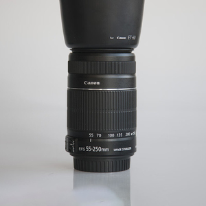 Canon/佳能 EF-S 55-250 mm IS STM 三代单反长焦镜头防抖 远摄月