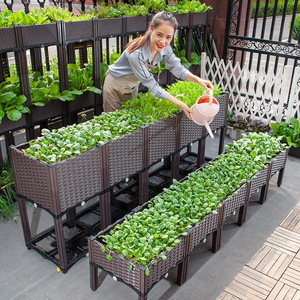 阳台种菜神器蔬菜种植箱特大长方形花盆露台楼顶塑料花盆种树箱