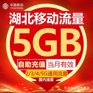 湖北移动流量充值5GB流量包叠加包2/3/4/5G全国通用流量当月有效