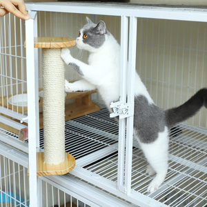 猫抓板磨爪器耐磨剑麻绳编织蹭痒柱子实木多功能爬架宠物猫咪用品