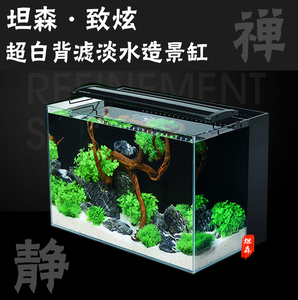 锦鲤水草 淘宝拼多多热销锦鲤水草货源拿货 阿里巴巴货源