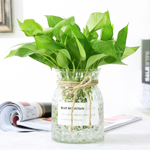 创意欧式菱形花瓶透明水晶玻璃花瓶水培植物花盆简约水培绿萝花瓶