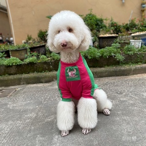 巨贵夏装新款金毛拉多洞洞史迪迪仔衣服中大型犬拼色衣服巨型犬衣