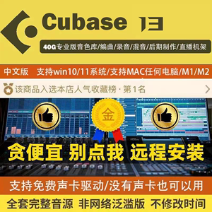 cubase13/12pro中文版音乐制作软件支持win/mac远程安装服务