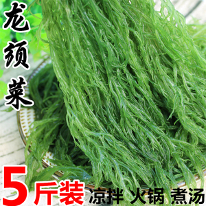 盐渍海草龙须菜5斤新鲜商用凉拌海藻菜非干货海菜海石花菜凉拌菜