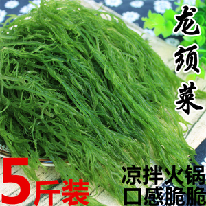 海草龙须菜5/2斤新鲜盐渍商用凉拌海藻菜非干货凉拌菜石花菜火锅