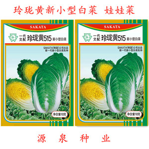 玲珑黄515娃娃菜白菜种子 新小型黄心白菜口味佳韩国坂田公司进口