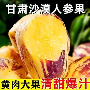 甘肃民勤沙漠人参果树上成熟1/3/5/8斤黄皮低糖皮薄多汁坏果包赔