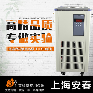 上海安春DLSB-5/10 20 25 30 40 60 80 120低温冷却液循环泵