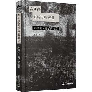 在阁楼独听万物密语 布鲁诺·舒尔茨诗篇 黑陶 著 中国现当代诗歌文学 新华书店正版图书籍 广西师范大学出版社