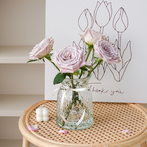 花瓶轻奢高级感透明玻璃水养鲜花富贵竹大口径客厅插干花装饰摆件