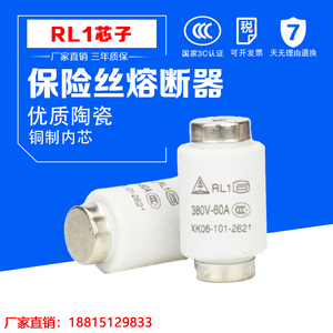 螺旋式熔断器熔芯芯子陶瓷保险丝RL1-15-60-100底座